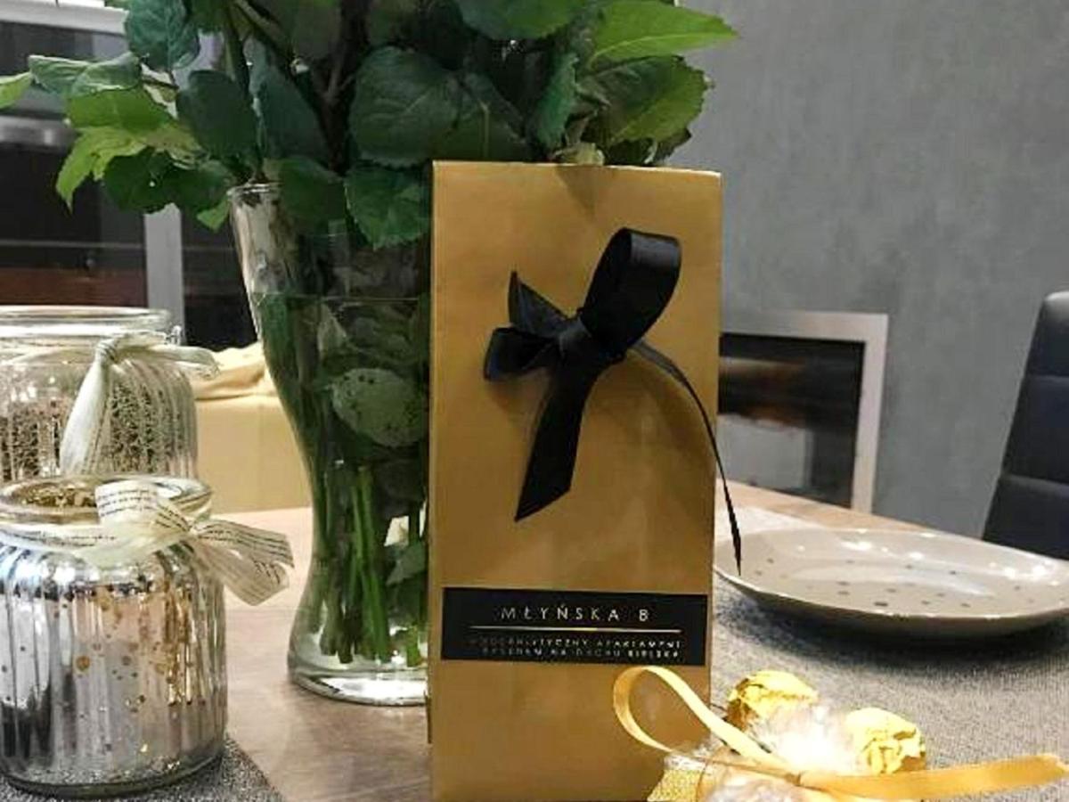 Mlynska 8 Apartament Z Prywatnym Basenem Bielsko-Biala Luaran gambar